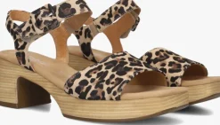 bruine gabor sandalen met hak 721.1.0