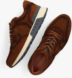 bruine greve lage sneakers haarlem k