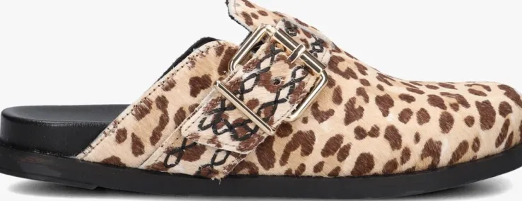 bruine haboob instappers amelie