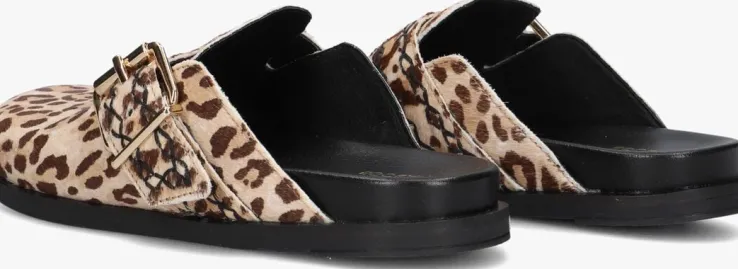 bruine haboob instappers amelie