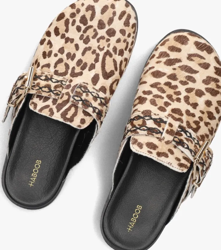 bruine haboob instappers amelie