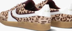 bruine haboob lage sneakers charlotte