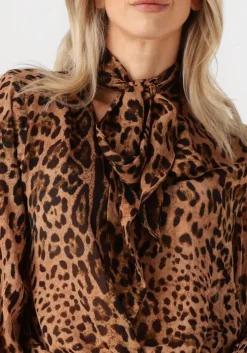 bruine ibana blouses trixy blouse