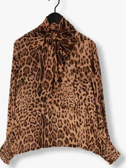 bruine ibana blouses trixy blouse