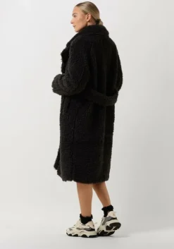 bruine ibana teddy jas chantel