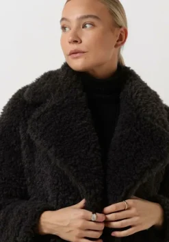 bruine ibana teddy jas chantel