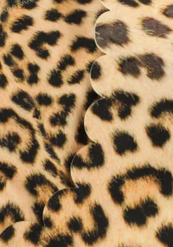 bruine molo bikini's nolina