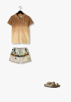 bruine molo polo randel