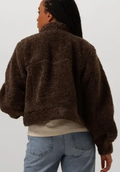 bruine moves teddy jas lesari