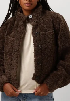 bruine moves teddy jas lesari