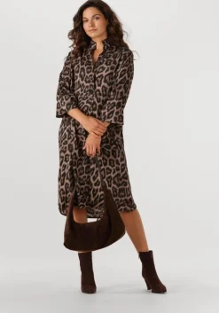 bruine notre-v enkellaarsjes 97436