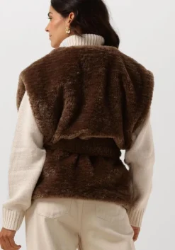 bruine notre-v gilet nv-edi