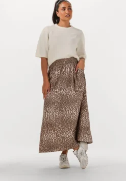 bruine notre-v maxirok nv-filomena leo