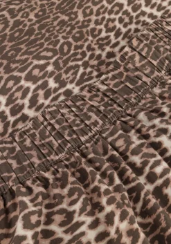 bruine notre-v maxirok nv-filomena leo