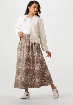 bruine notre-v maxirok nv-filomena leo