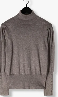 bruine nukus truien/vesten sylvia pullover