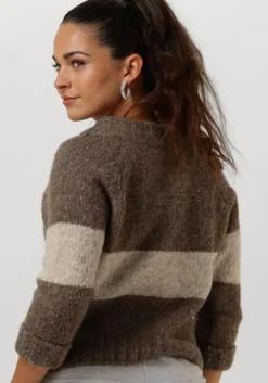 bruine penn & ink trui 225 jumper stripe