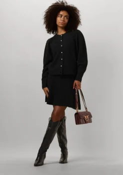 bruine pinko schoudertas love one mini dc