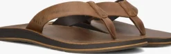 bruine reef teenslippers ojai classic
