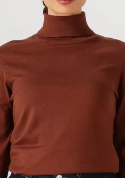 bruine silvian heach coltrui turte neck sesin