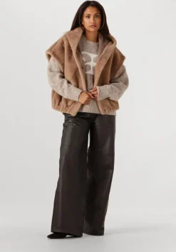 bruine studio ar pantalon tess sheep denvey