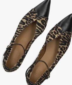 bruine toral ballerina's cristelle