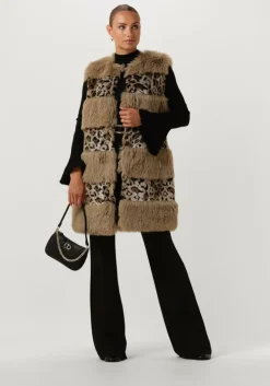 bruine twinset milano gilet 13353140-cpc