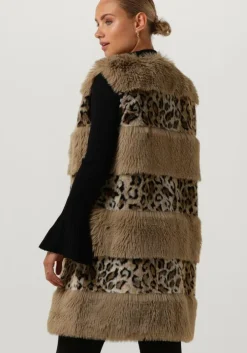 bruine twinset milano gilet 13353140-cpc