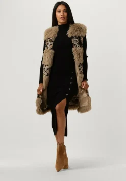 bruine twinset milano gilet 13353140-cpc