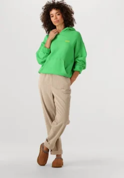 bruine ugg instappers w tasman ii