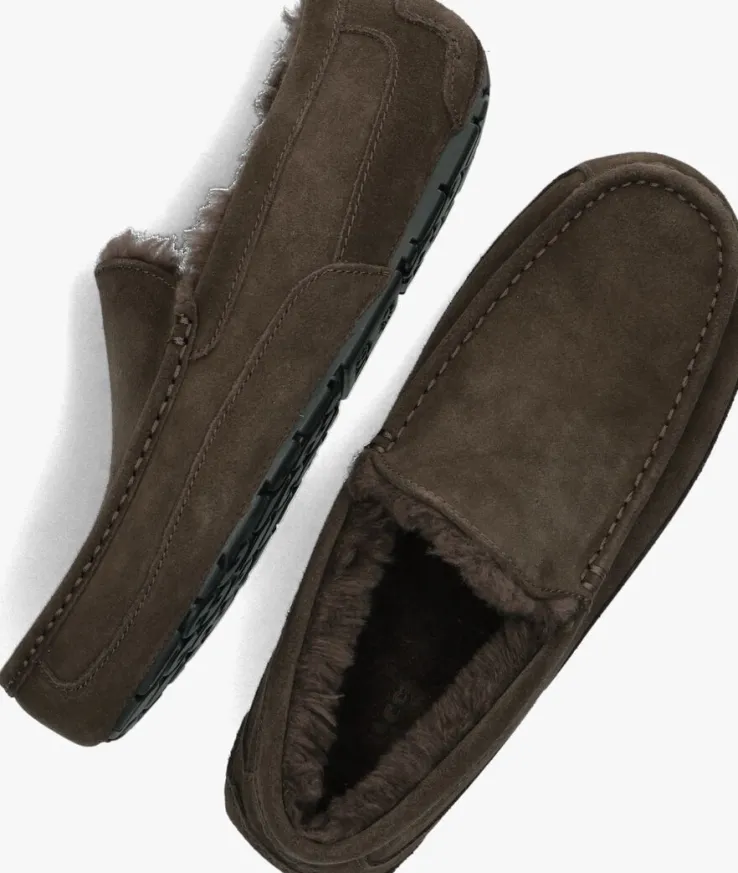 bruine ugg pantoffels ascot