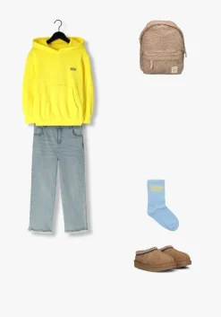 bruine ugg pantoffels tasman ii