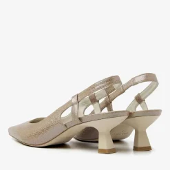 bruine via vai hakken suzy aliya