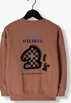 bruine z8 sweater lucius