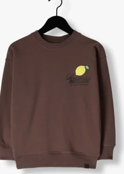 bruine z8 sweater marcelo