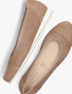 camel hassia instappers piacenza 1623