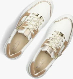 camel hassia lage sneakers bordeaux