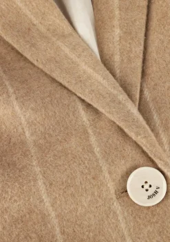 camel josh v blazer sadie