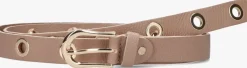 camel notre-v riem avery