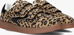 camel omoda lage sneakers eloise