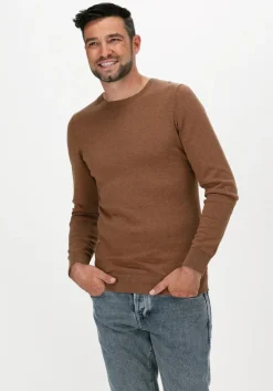 camel saint steve trui bart