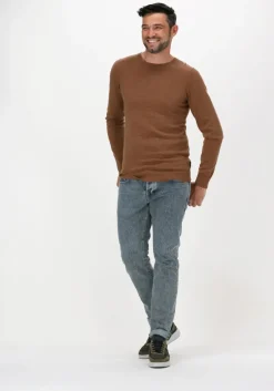 camel saint steve trui bart