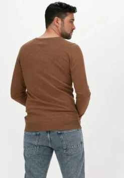 camel saint steve trui bart