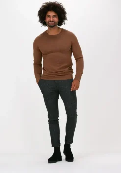 camel saint steve trui bart