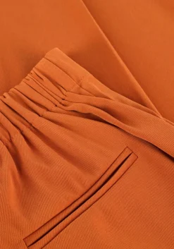 camel ydence pantalon pants solange tall