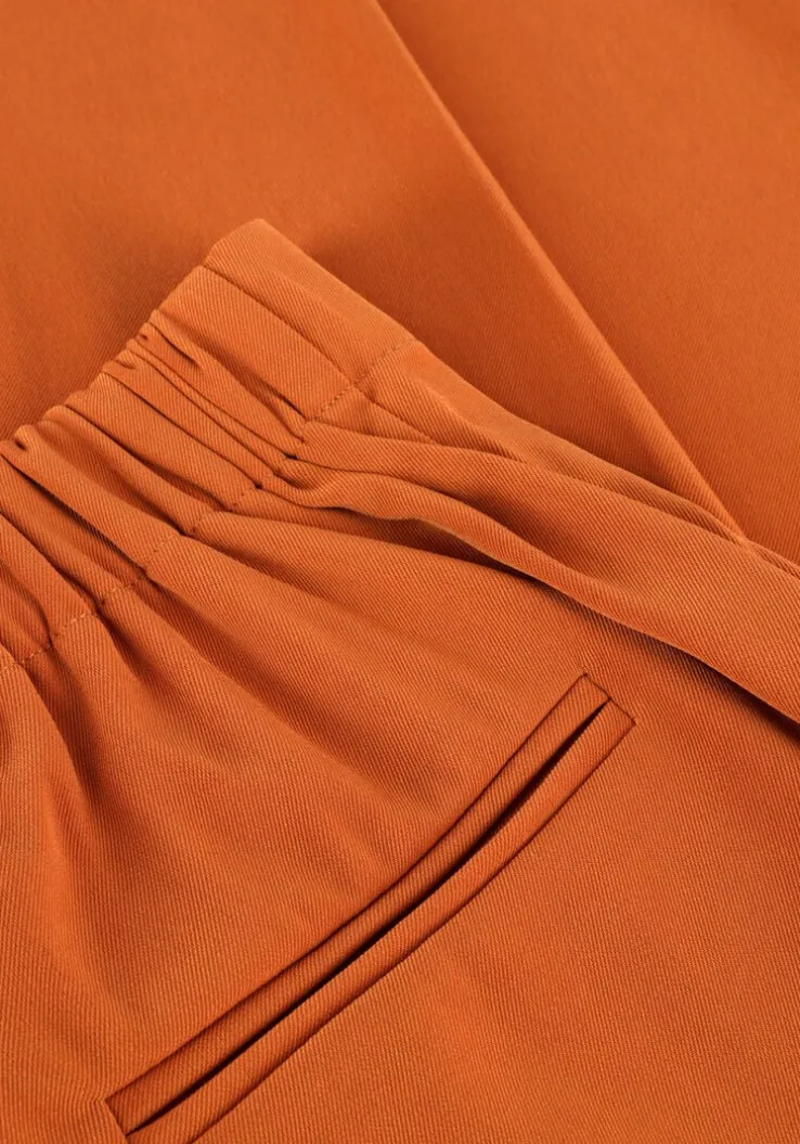 camel ydence pantalon pants solange tall