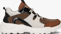 cognac braqeez lage sneakers robin run