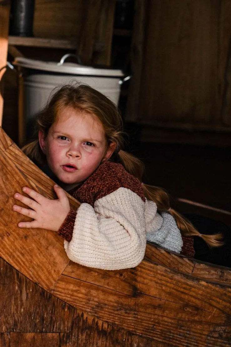 cognac koko noko trui q52962