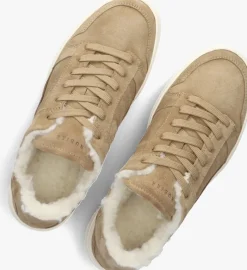 cognac nubikk lage sneakers basket teddy