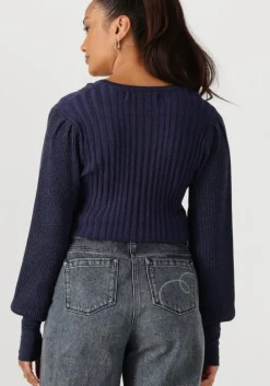 donkerblauwe nukus truien/vesten mulberry pullover lurex